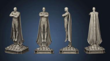 3D model Wanda and Vision For Solo Statue Only (STL)