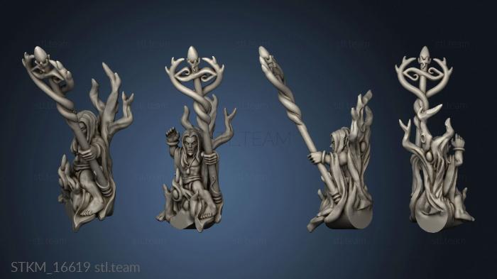 Wood elf characters riders ividual dragon sorcerer