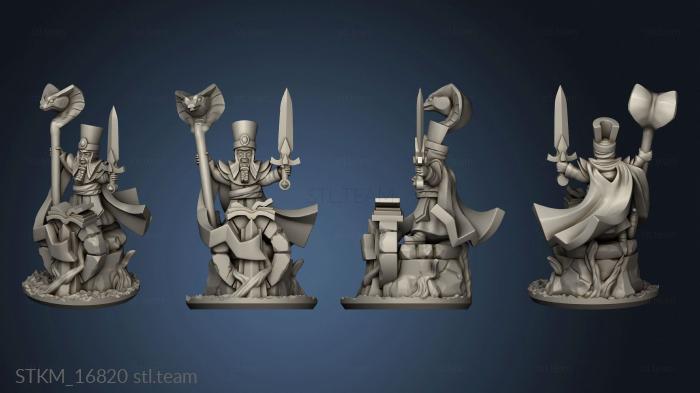 3D model Wizards wizard (STL)