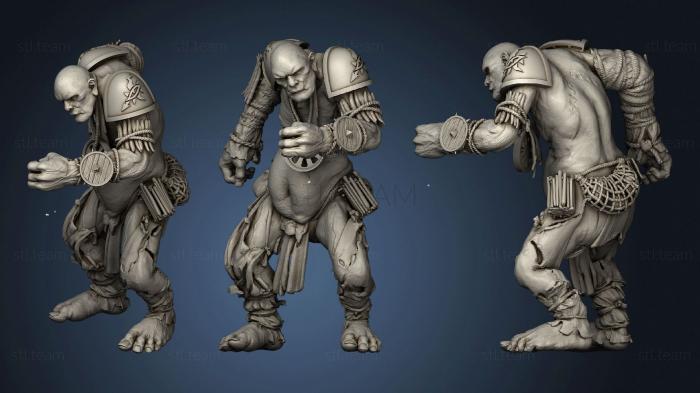 3D model Blood Bowl Giants And Pixies For Giant Team (STL)