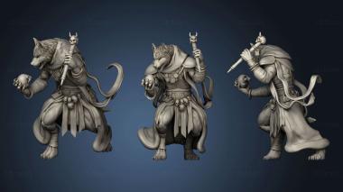 3D model Coyote Necromancer Tabletop Miniature (STL)