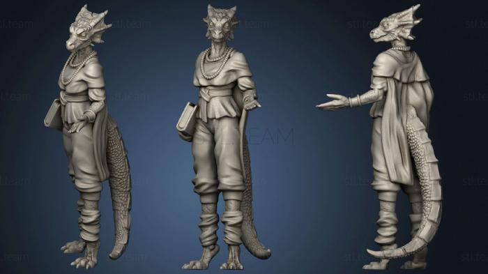 3D model Dragonborn Sorcerer Curiphaias (STL)