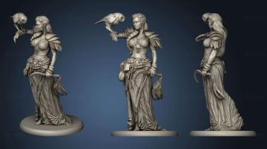 3D model Druid The Magic (STL)