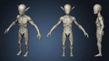 3D model Elf Base Mesh 2 (STL)