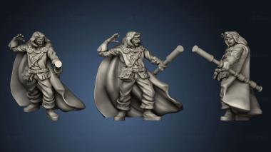 3D model Enanched Wizard (STL)