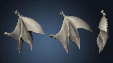 3D model Left wing (STL)