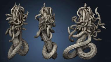 3D model Medusa (1) (STL)