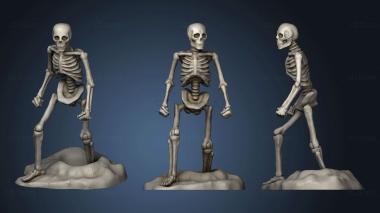 3D model Necromancer And Skeleton Miniatures (STL)