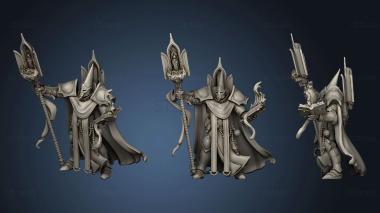 3D model Torquemerus 33 (STL)