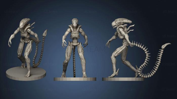 3D model Xenomorph (Alien) (STL)