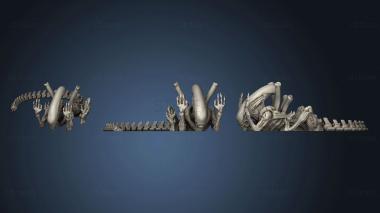 3D model Xenomorph Articulated (STL)