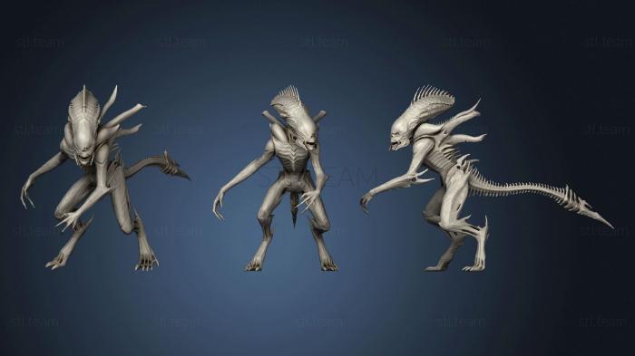 Xenomorph Full