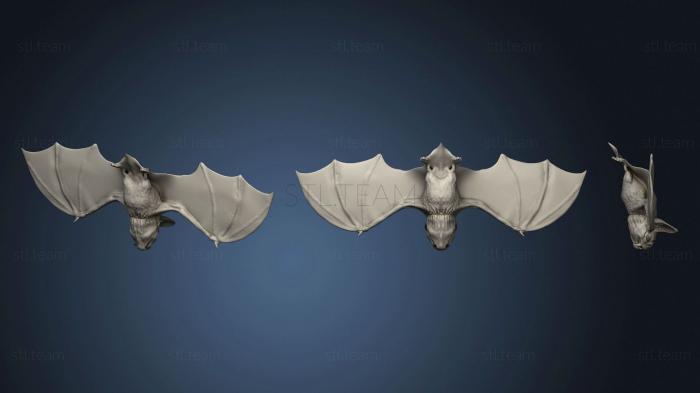 3D model Bat (STL)