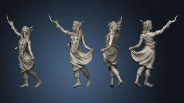 3D model Amenia Genasi Druid (STL)