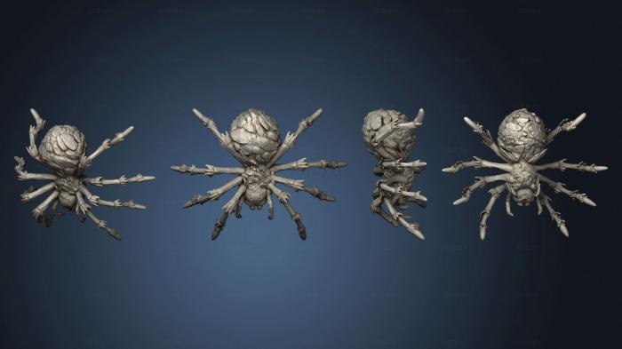 3D model Giant Rock Spider 2 Variations Large (STL)