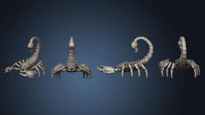3D модель Гигантский Скорпион v 1 Большой (STL)
