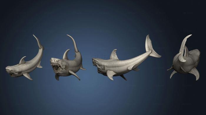 3D model Great White Shark (STL)