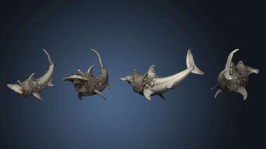 3D model Hammer Shark Rider (STL)