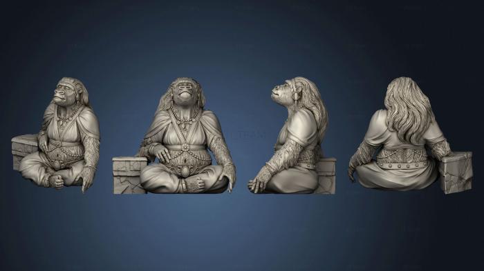 3D модель Жена Короля обезьян 75 бесплатных продаж (STL)