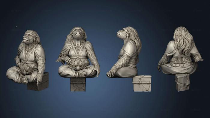 3D модель Король обезьян-жена 75-летнего (STL)