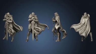 3D model Paladins of Dawn Alina (STL)