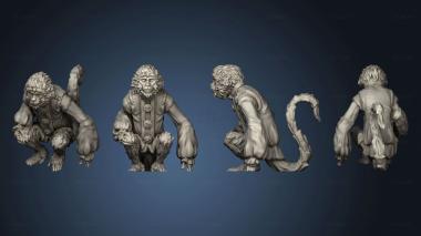 3D model Pirate Monkey Small (STL)