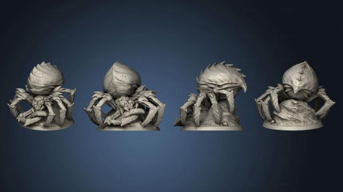 3D модель Гигантские пауки Дикой природы, набор из 31 (STL)