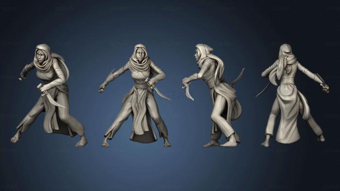3D model Viziers Assassin Attacking (STL)