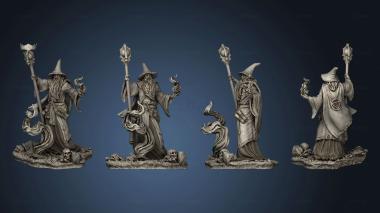 3D model Hero Mage (STL)