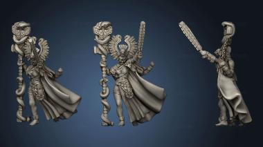 3D model Ogres and Amazons Itza the Totem Wielder (STL)