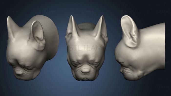 3D model Head of a bulldog (STL)