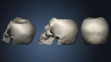 3D model Mate calavera (STL)