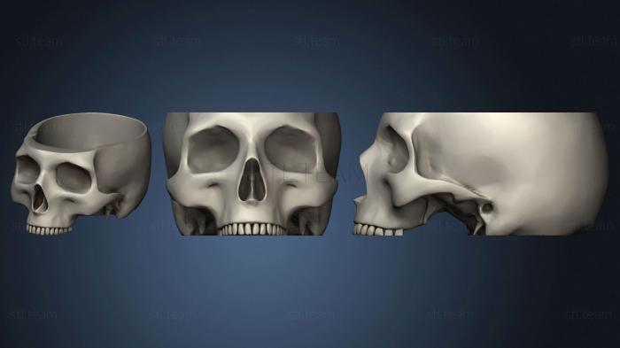 3D модель Нижняя челюсть Платона Декабрь (STL)