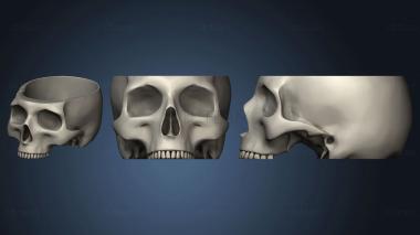 3D model Plato sin mandibula Dec (STL)