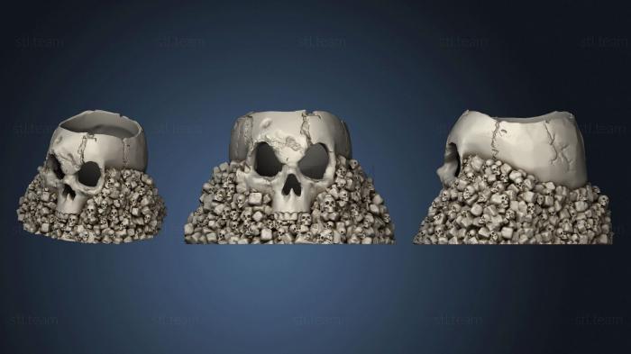 3D model Skull Holder (STL)