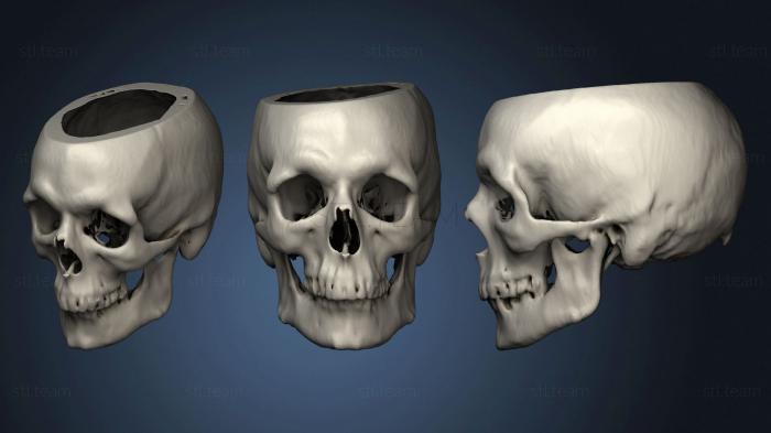 3D model Skull Male 48yo (STL)