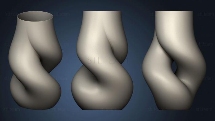 3D model Twisty Vase (STL)