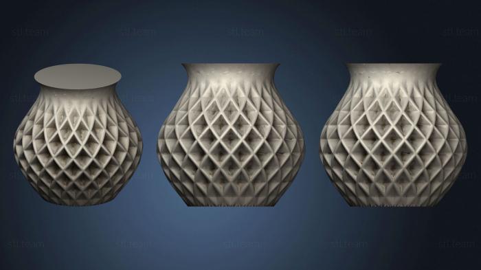 3D model Vase Double Twist (STL)