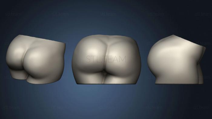 3D model Woman Butt Succulent Vase (STL)