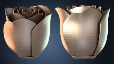 3D модель Юбилейная роза открыта (STL)