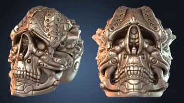 3D модель Череп Ксено (STL)