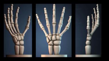 3D model VAZA_2663 (STL)