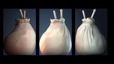 3D model VAZA_2884 (STL)